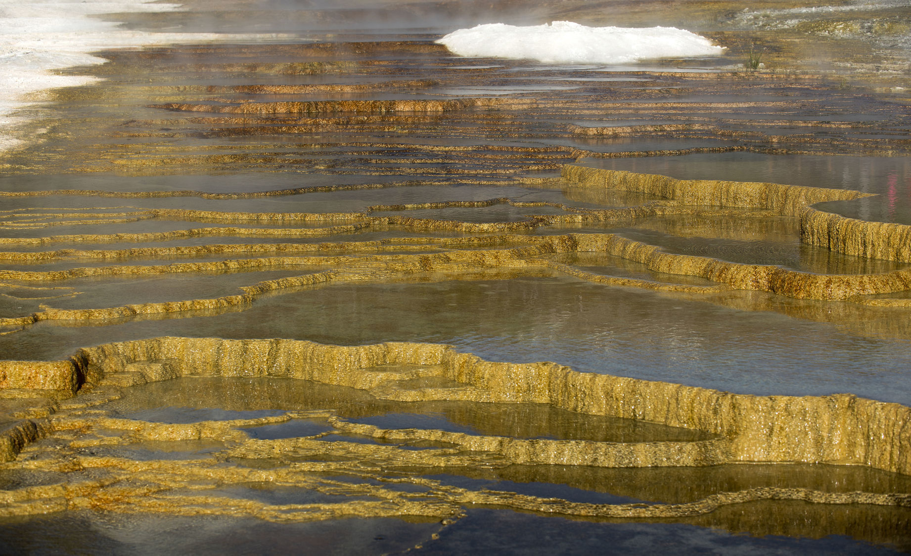 Mammoth Hot Springs